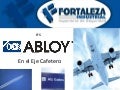 Fortaleza Industrial - Aeropuertos 