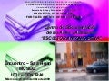 Planificación de la Gestión 2009 para el 2010