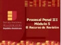ENJ-4-300 El Recurso de Revisión