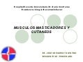 Presentación Musculos de la Cara