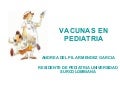 Vacunas 
