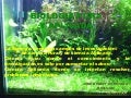 BIOLOGIA PURA Y APLICADA