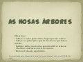 AS NOSAS ÁRBORES