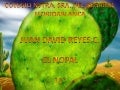 El NOPAL