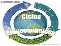 biogeoquimicos