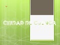 Presentación1