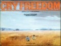 Cry Freedom, film