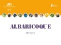 Presentación albaricoque