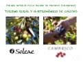 Proyecto turístico Cámbrico  - Soleae 2013