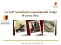 ENJ-300: Presentación Curso Procedimientos Especiales del Código Procesal Penal