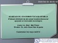 Presentación disertación doctoral finkel_upana_2010