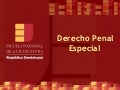ENJ-300 Presentación General Derecho Penal Especial
