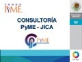 Presentación Pyme Jica 2011