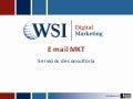 Servicios e-mail mkt Constant Contac - WSI