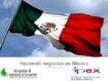 Haciendo negocios en Méjico