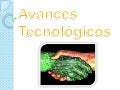 Presentacion