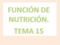 "3ª evaluacion, la nutricion"