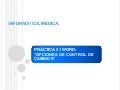 Presentacion21w