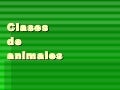 Presentacion animales
