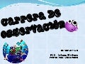 Presentacion carrera observacion johnny jimenez   maestro 2.0