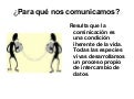 Presentacion de lengua