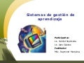 Sistemas de Gestión de Aprendizaje