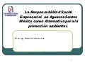RSE Aguascalientes
