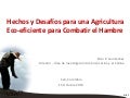 Hechos y Desafíos para una Agricultura Eco-eficiente para Combatir el Hambre