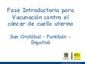 Presentacion final vph.