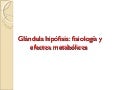 P resentacion generalidades unidad 3