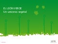 Información turística: El León Verde