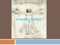 Presentacion numeroaureo catalina-claudia