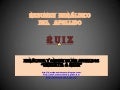 Presentacion ruiz