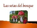 Presentacionsetasadrian