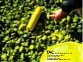 Presentacion tac tectonic
