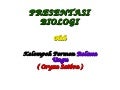 Presentasi biologi