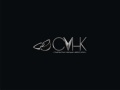 CVHK UDUNproject