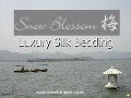 Snow Blossom Presentation