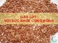 Gạo lứt và sức khỏe cộng đồng