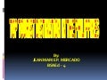Presentation1 Top Tourist Destination In The Philippines