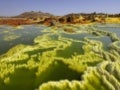Amazing Nature Arts