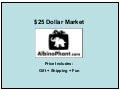Wacky white elephant gifts at $25