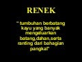 ALN 103.tumbuhan Hiasan Kumpulan Renek