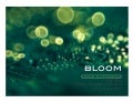 ME310 Bloom