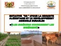 PAA Africa Programme Inception Workshop - Niger 3N Initiative