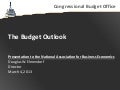 The Budget Outlook