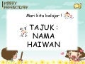 Presentation nama haiwan