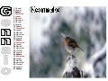 calendario 2009