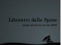 Liberarci dalle Spine