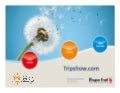 TripShow.com - New Chinese Travel Website